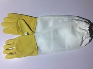白く柔らかい換気された部分、白い伸縮性がある袖口が付いている耐久の黄色い羊皮の養蜂の手袋