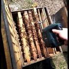 養蜂用の更新されたグリーンビーリムーバー 充電式リチウム電気ビーシェーカー