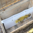 食品等級の蜂のはちの巣装置49*43.8*22.3cmの蜂蜜の蜂の送り装置の多機能