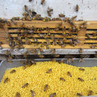 自然な未加工蜂蜜の蜂の花粉の新しい有機性純粋な蜂の花粉