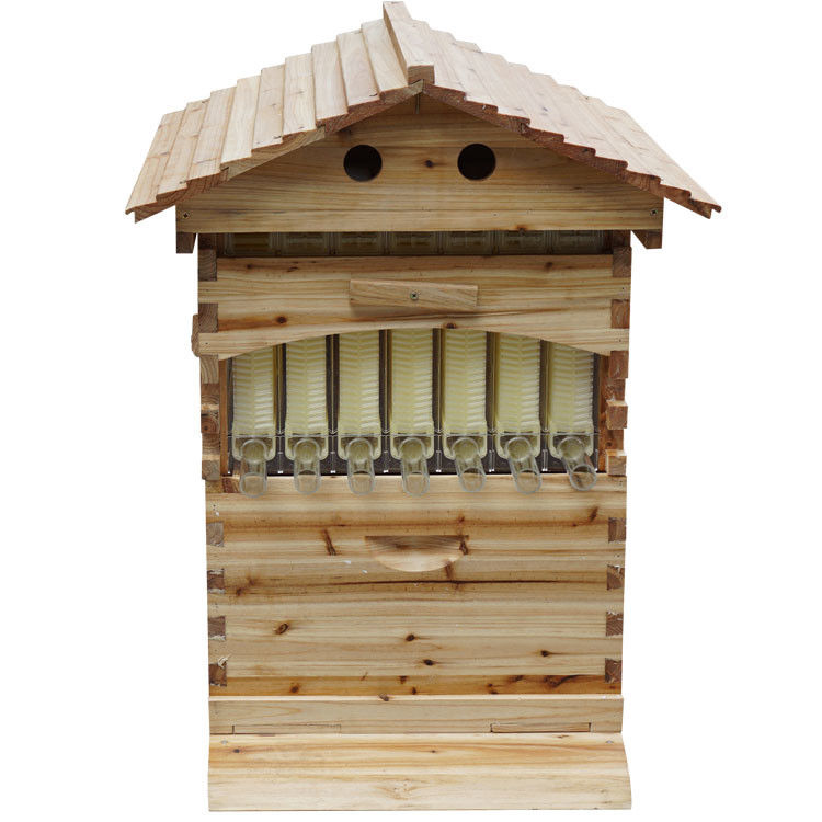 Langstroth Honey Flow ハイブ モミの巣箱 7つのプラスチックフレーム付き 養蜂用の蜂の巣