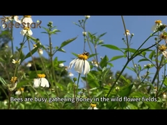 ミツバチ製品 クリーム オーガニック ミツバチミツバチミルク 新鮮 ミツバチミツバチ ミツバチミツバチ ミツバチミツバチ ミツバチミツバチ ミツバチミツバチ ミツバチミツバチ ミツバチミツバチ ミツバチミツバチ ミツバチミツバチミツバチ ミツバチミツバチミツバチ ミツバチミツバチミツバチ ミツバチミツバチミツバチ ミツバチミツバチミツバチミツバチミツバチミツバチミツバチミツバチミツバチミツバチミツバチミツバチミツバチミツバチミツバチミツバチミツバチミツミツバチミツミツバチミツミツバチミツミツバチミツミツバ