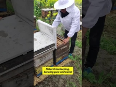 100%天然という約束は、すべてのコンテナの積み込みの厳格さの中に隠されています。