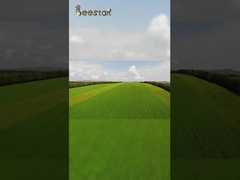 私たちの生態学的養蜂基地は汚染から遠く離れています