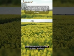 100% 純粋な生蜂蜜 自然な強姦蜂蜜 添加物なしの自然蜂蜜 健康食品