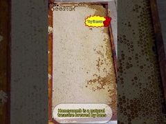 天然のコムハニーは美味しいだけでなく、様々な栄養素も豊富です。