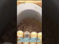 王様のゼリーがどのように集められているか知っていますか? これを読んで,あなたは理解するでしょう