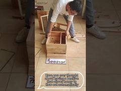 ラングストロフ フロー ハチの巣 プラスチック製の7つの枠付き ハチの巣と養蜂用の枠