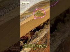 プロポリスは、毎日の健康管理と体調管理に適しています。それは「天然の保護シールド」です。