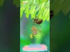 この流れるようなテクスチャを見てください。これはまさに自然の「本来の甘さ」です！