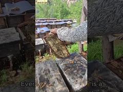 精査:有機純蜂蜜 生み出した天然蜂蜜 純天然で自然に熟した蜂蜜