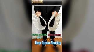 接ぎ木なし女王蜂飼育システム