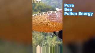 生の蜂花粉の自然エネルギーブースト