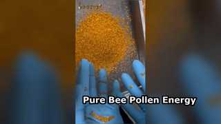 純粋な蜂花粉の自然エネルギーブースター