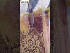 あなたの健康のための天然ハニカム蜂蜜