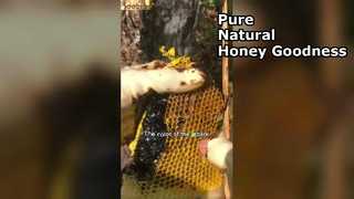 黒蜂蜜がパントリーにとって究極のスーパーフードである理由