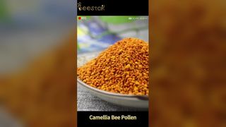 オーガニック生蜂花粉 自然エネルギーとウェルネス