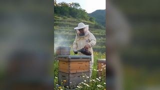 純粋な生のマルチフラワーハニー