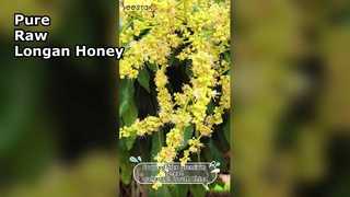リュウガン蜂蜜 vs 通常の蜂蜜 — このトロピカルツイストがぜひ試していただきたい理由