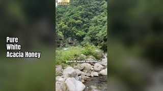 ビースター オーガニック ホワイトアカシアハニー 純粋な自然の甘さ