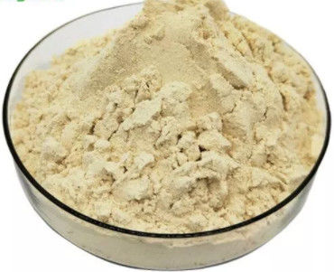 購入 純粋な有機性新しいローヤル ゼリーは粉5.5%の10-HDA蜂蜜の蜂プロダクトを凍結乾燥させた オンライン製造