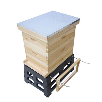 購入 Apiculture 8フレーム10フレームの蜂のはちの巣のホールダー オンライン製造
