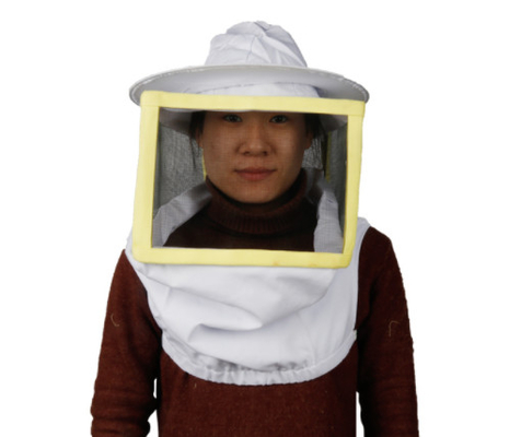 名前