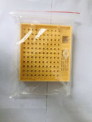 名前