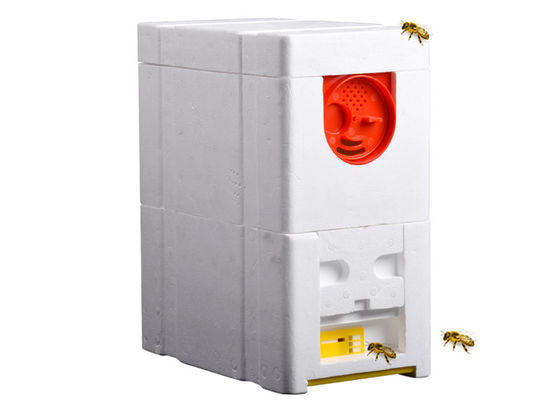 名前